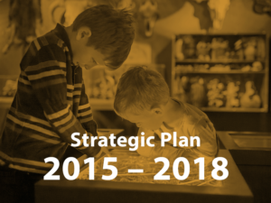 Strategic Plan 2015 – 2018