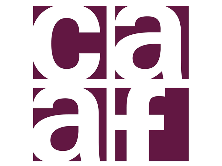 Image Logo - Calgary Allied Arts Foundation