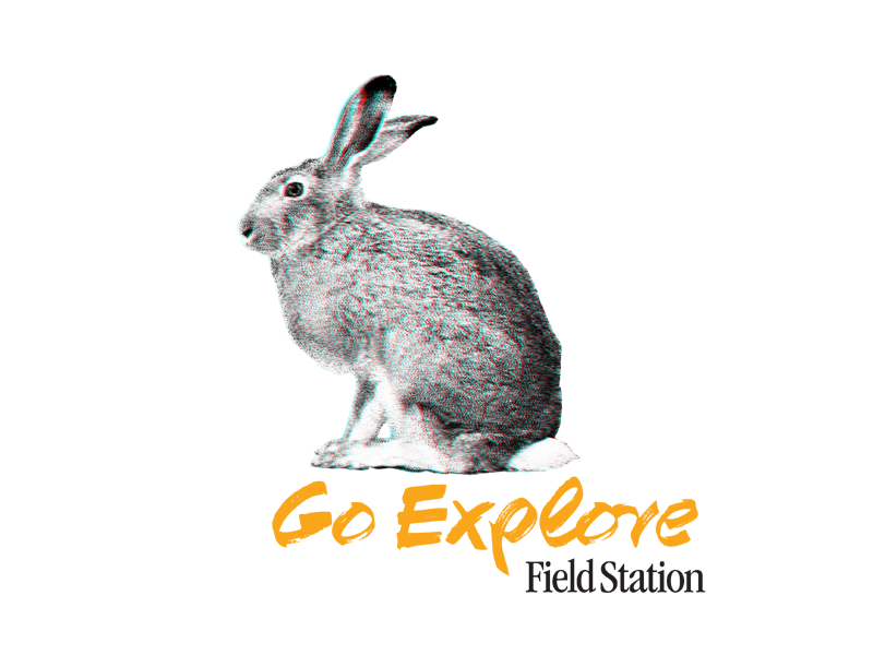 Image for Field Station