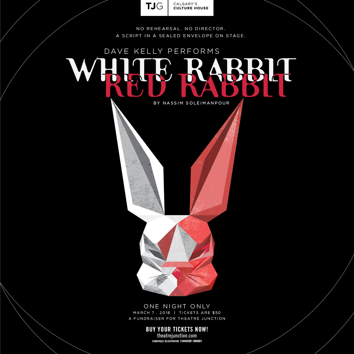 Image promo - White Rabbit Red Rabbit - TJG JPG