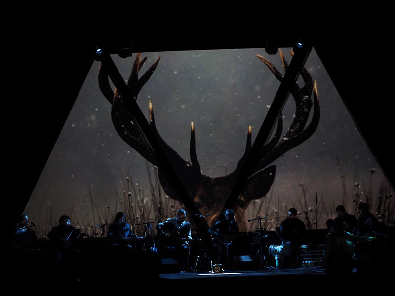 A projection of antlers on stage