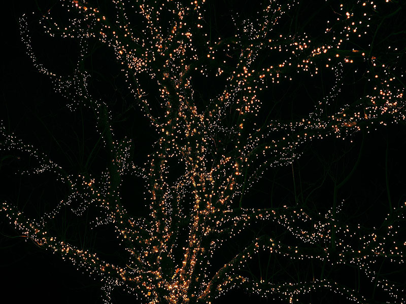 A graphic depicting a tree made out of dots of light