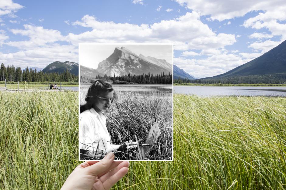 Image - Archives Practicum - The Banff Centre for Arts and Creativity 
