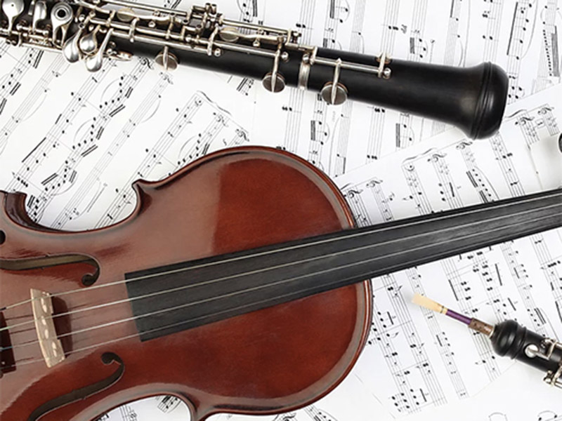 A stock photo of a violin and oboe