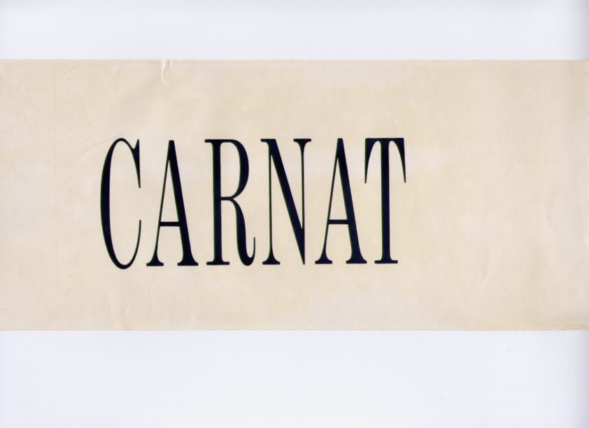Sarabeth Carnat logo