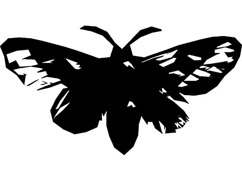 Hello Moth logo