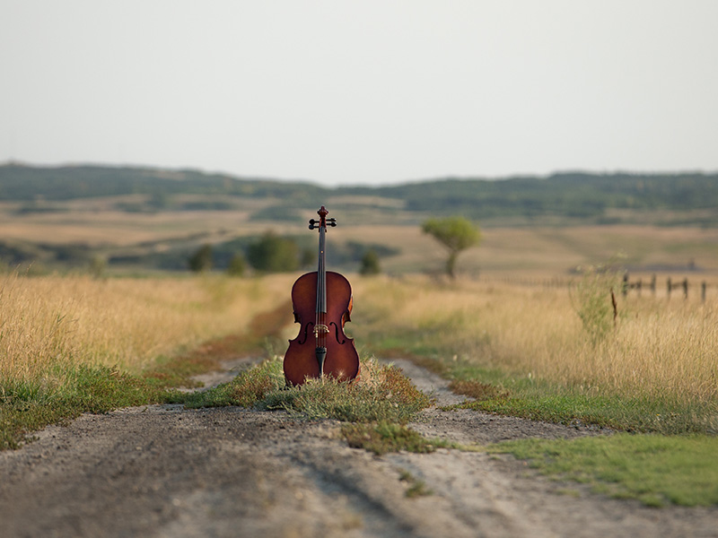 A photo of a cello in a prairie field