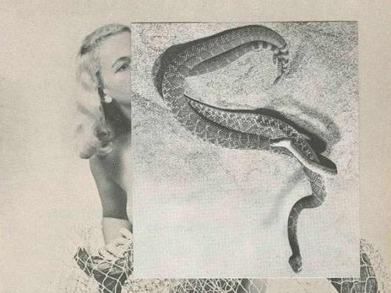 A collage of a woman and a snake