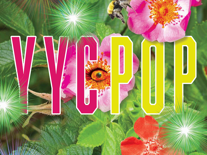 YYC Pop logo