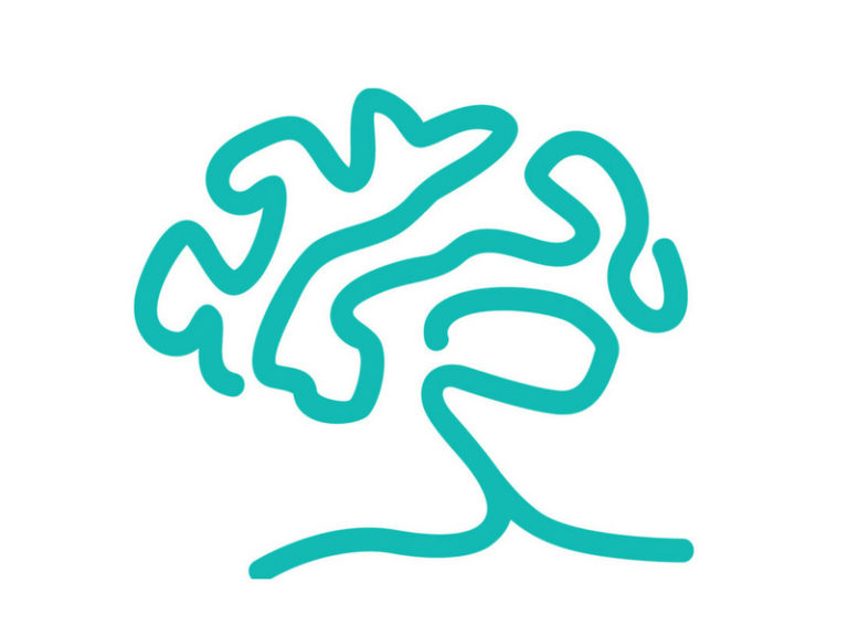 Branch Out Neurological Foundation logo