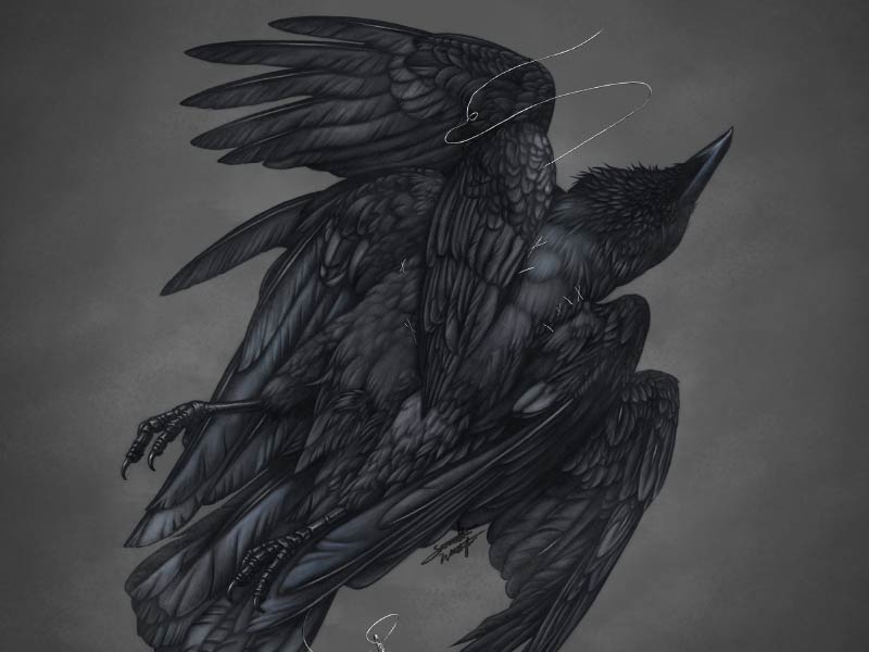 Samantha Washington's artwork of black bird