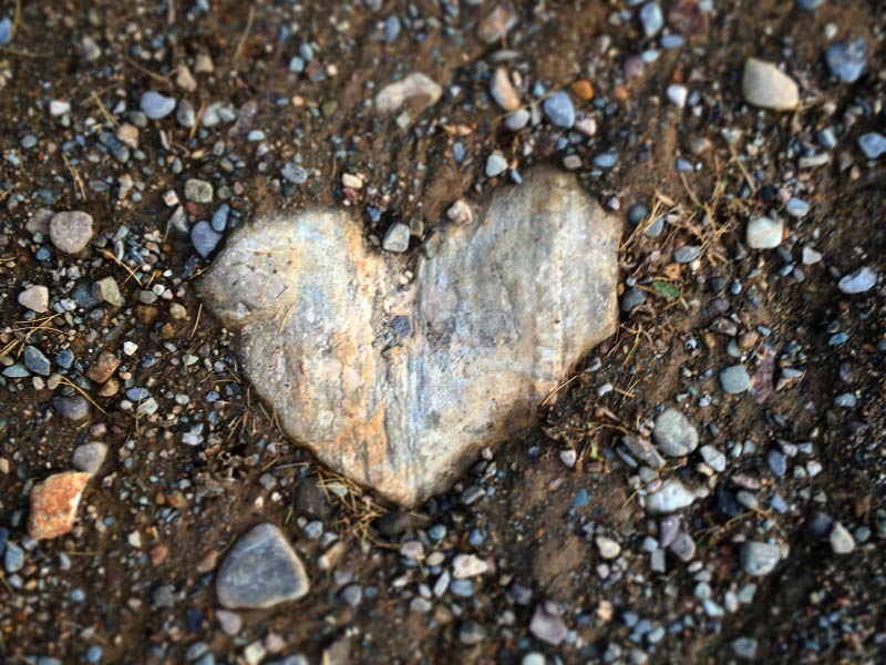 A photo of rock peaking through the ground in the shape of a heart by Barb Briggs