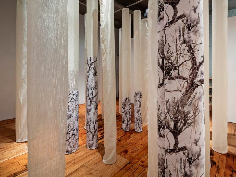 Image of installation by Lynn Christine Kelly at cSPACE