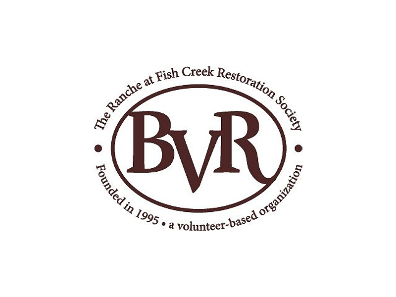 BVR logo