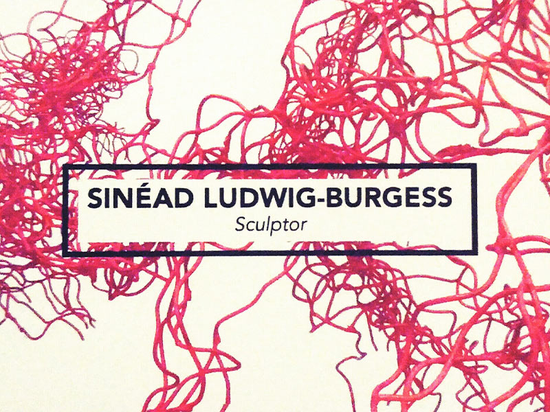 A logo for Sinead Ludwig-Burgess