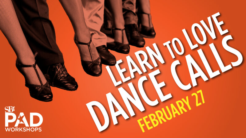 An array of dancers' feet in a promotion for StoryBook Theatre's workshops | Learn to Love Dance Calls February 27