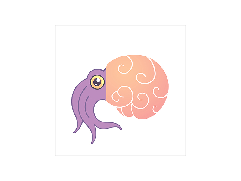 squid brain