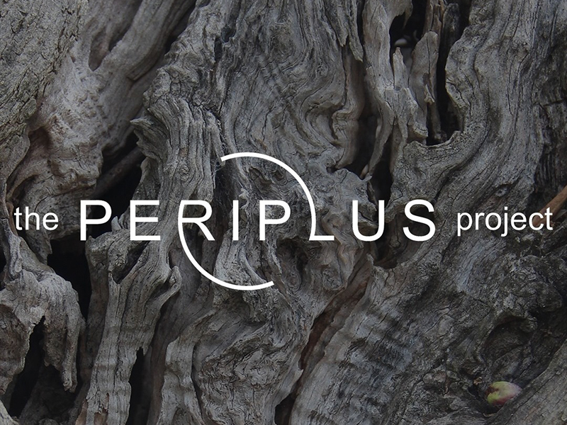 The Periplus Project logo over a background portrayed with tree bark