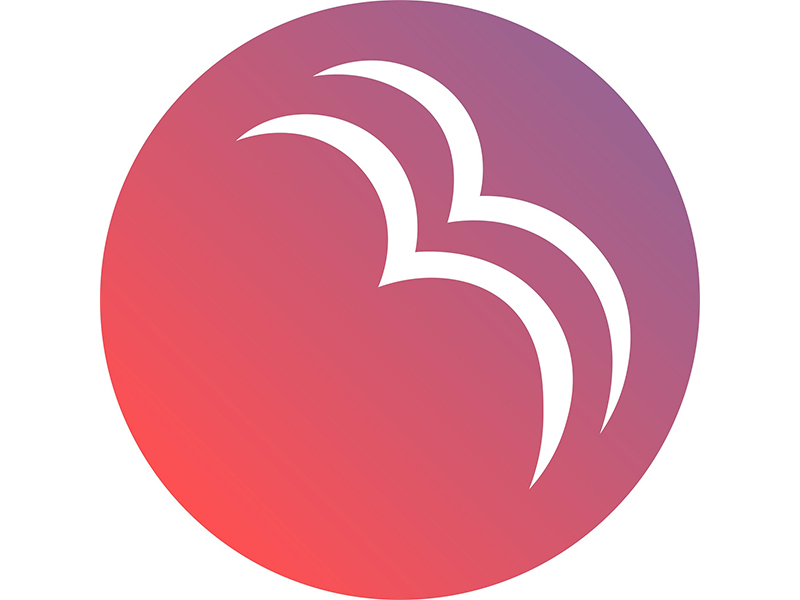 Bird Creatives logo