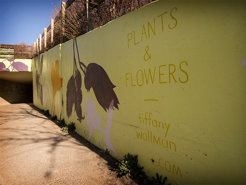 The walls of the Nose Hill Park entrance, painted with Indigenous flowers and plant life. Words on the concrete say Plants and Flowers