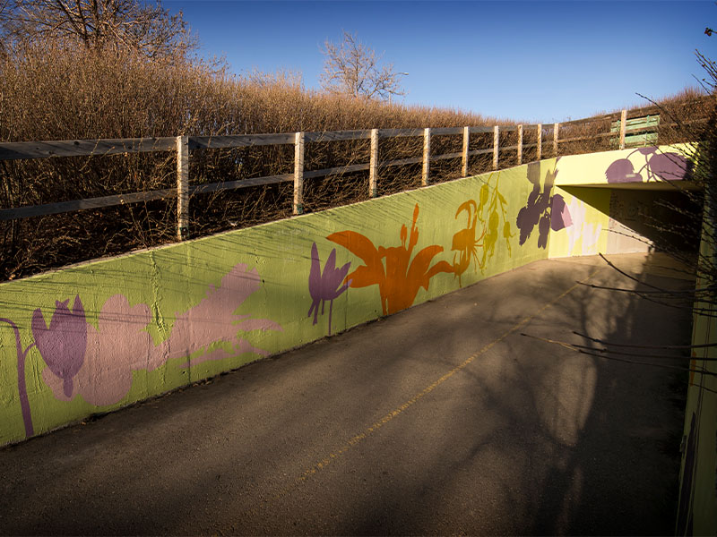 The walls of the Nose Hill Park entrance, painted with Indigenous flowers and plant life.
