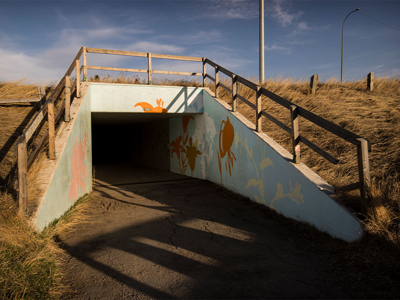 The walls of the Nose Hill Park entrance, painted with Indigenous flowers and plant life.