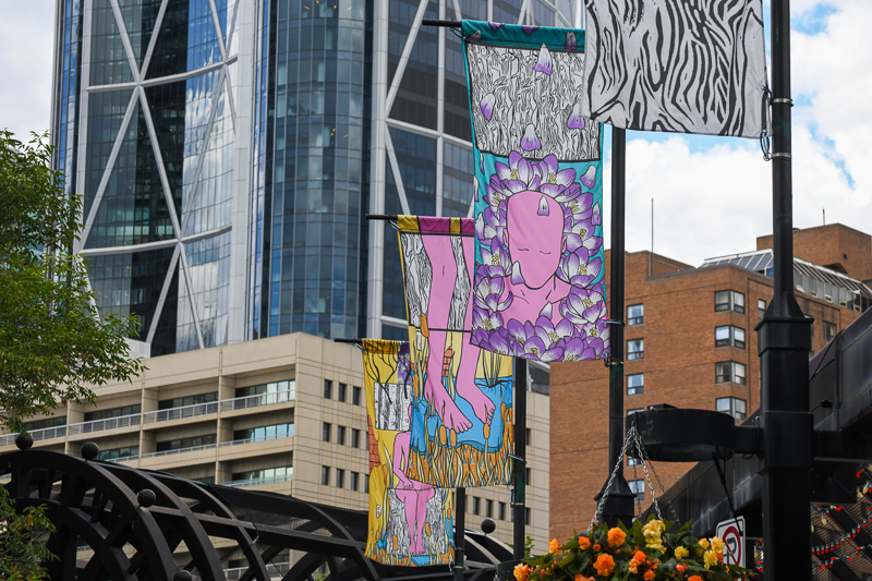 Several banners hang downtown, featuring pink facsimile's of people - faces, feet and a full body - among stylized nature.