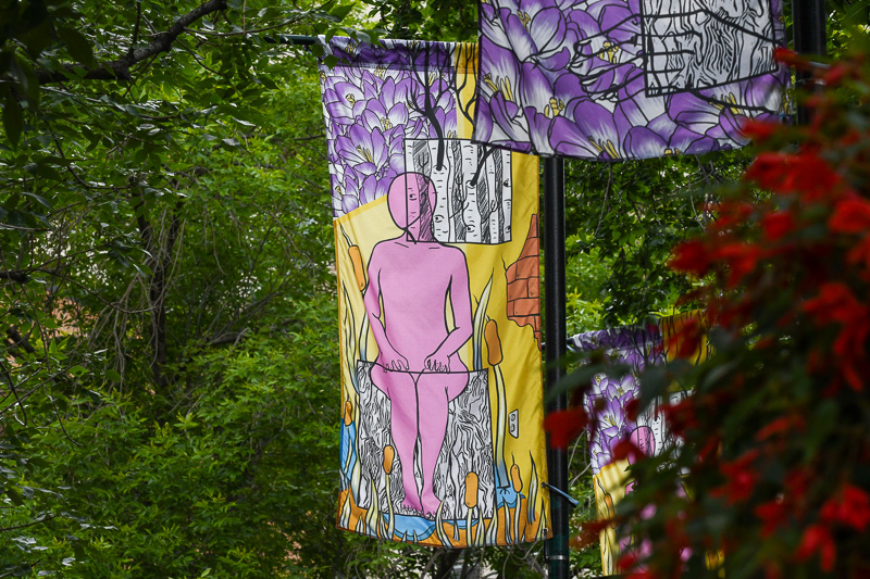 Several banners hang downtown, featuring pink facsimile of a person among stylized cattails and water.