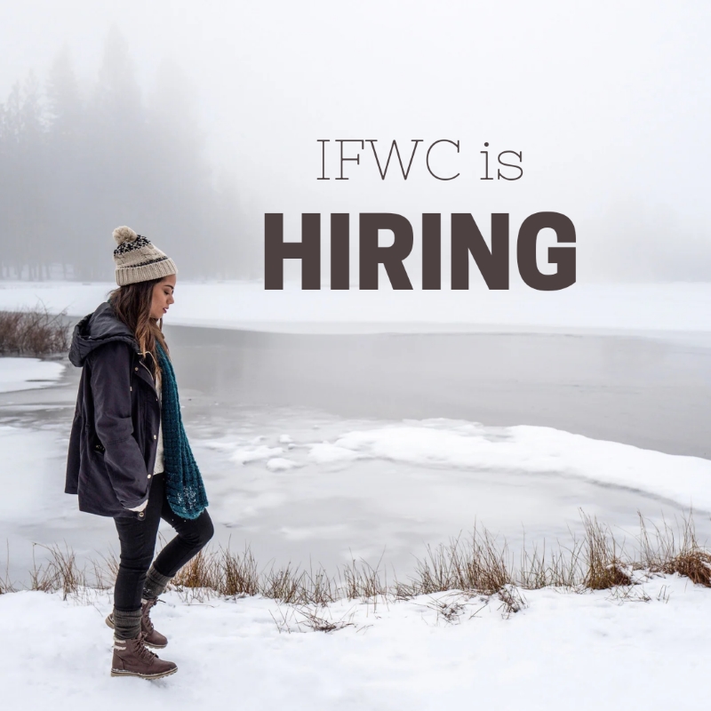 Photograph of a woman walking in a winter environment with copy: IFWC is Hiring