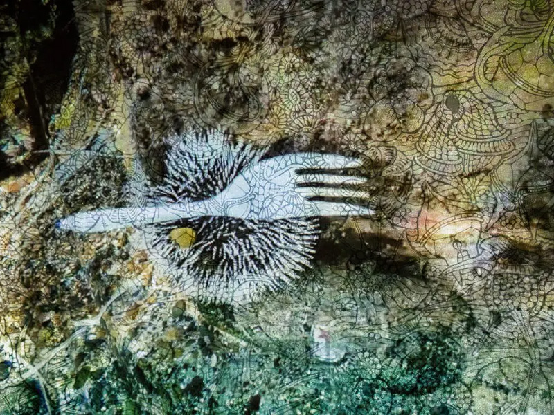 A promo image for Eveline Kolijn Printmaking in the Anthropocene