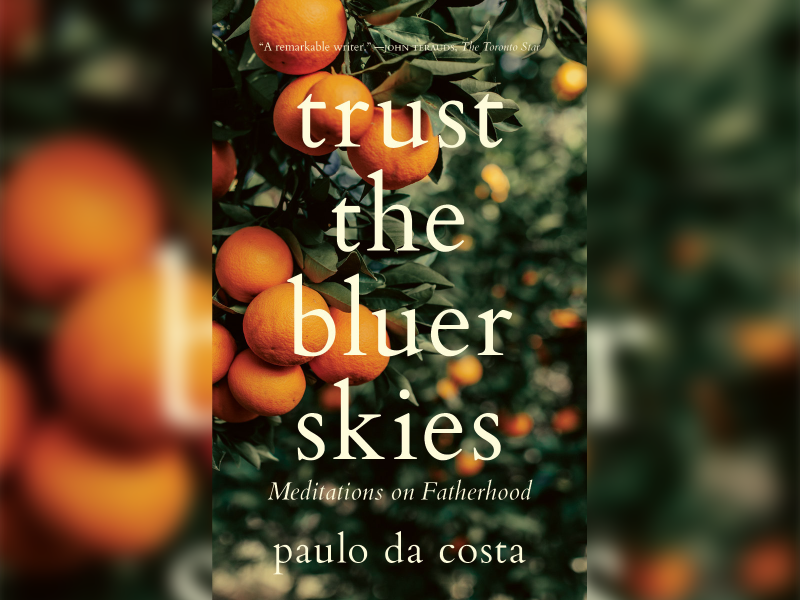 Image of book cover for trust the bluer skies