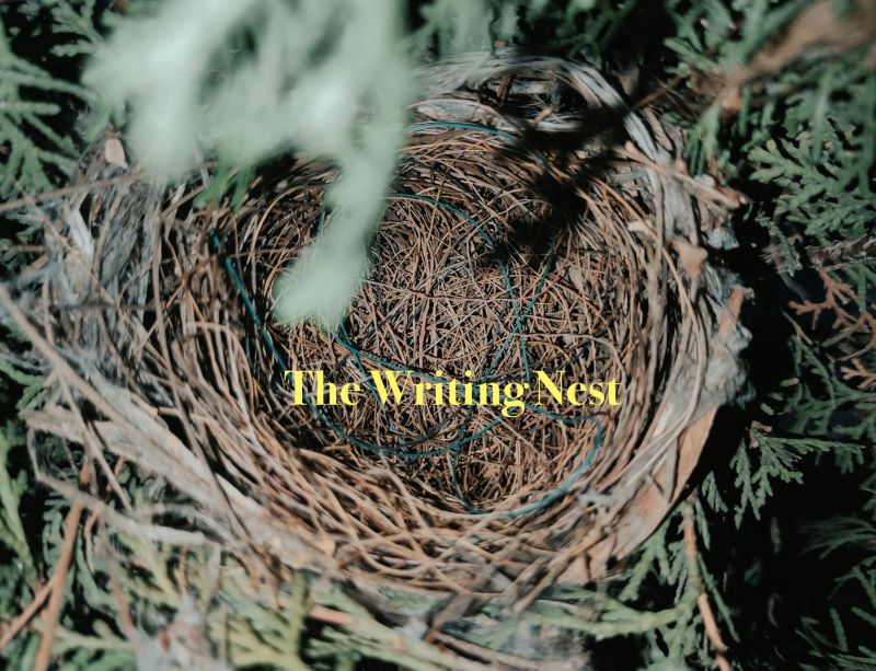 Depiction of a nest in a tree, with the copy: The Writing Nest placed over it