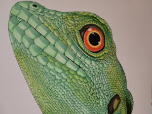 Painting of a green lizard by Bruno Lee