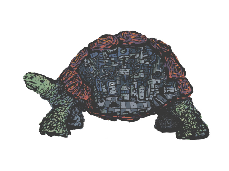 Drawing of tortoise