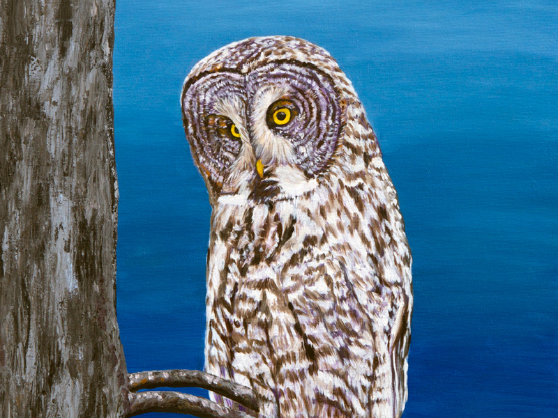 Artwork of owl sitting on branch