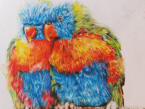 Artwork of two parrots by Serene Varghese