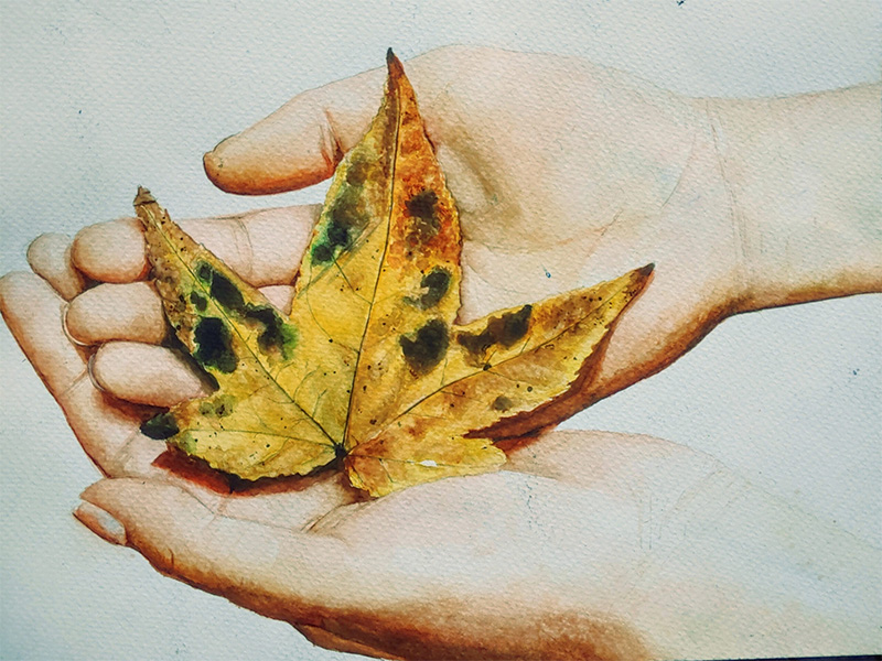 Artwork of two hands holding a maple leaf by Serene Varghese