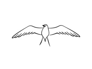 A graphic of a bird with wings outstretched by Timothy Kozlik