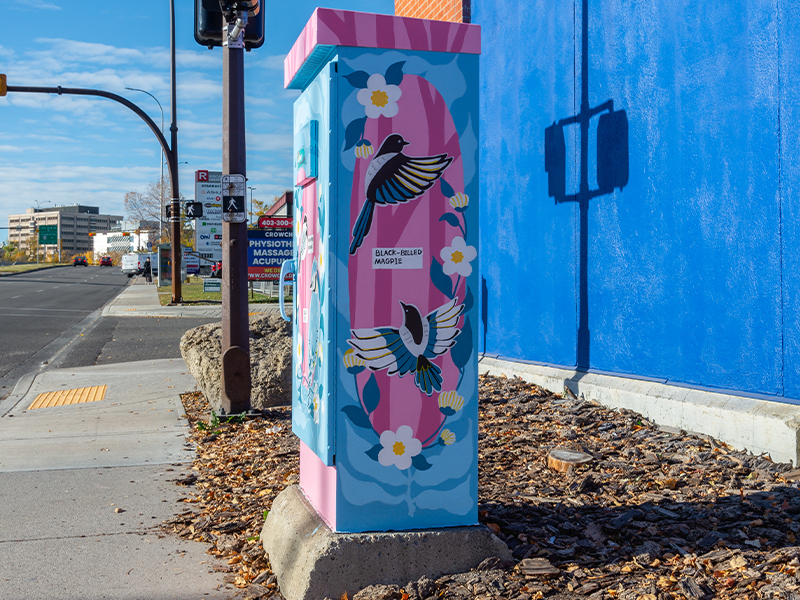 A utility box painted with colourful birds and flowers at a street intersection.