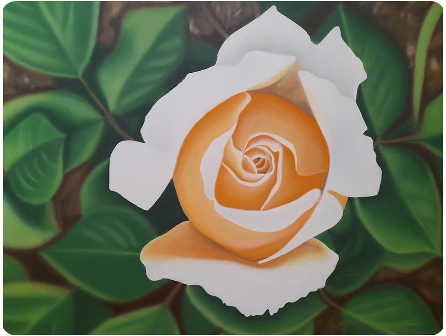 A painting of a yellow rose with white edges. The background features green leaves and brown soil.