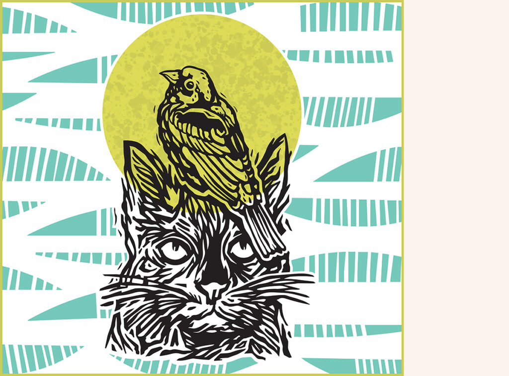 An illustration of a cat with a bird on its head, set against a yellow sun and patterned turquoise background.