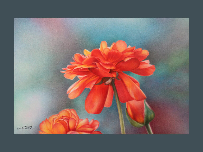 A highly detailed coloured pencil drawing of vibrant red-orange flowers with soft, layered petals. The flowers stand out against a smooth, multicoloured background with tones of blue, green and pink. Signed "Ensi 2017" in the corner.