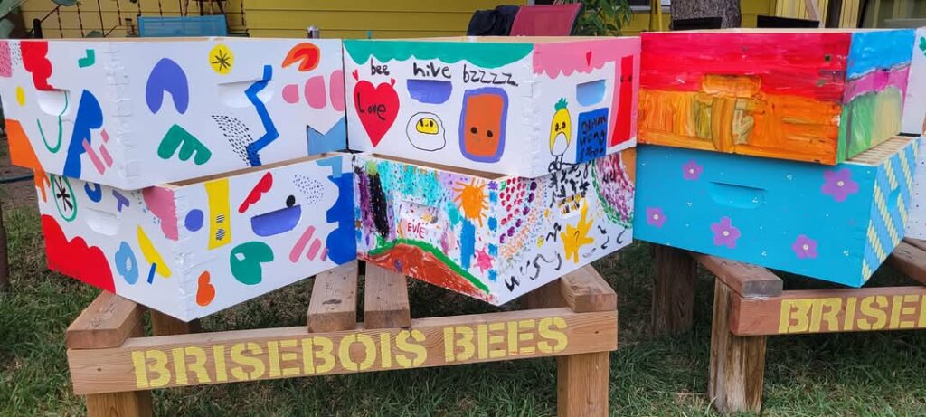 Painted colourful bee boxes on wooden stands by Brisbois Bees