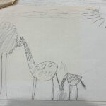 A children's drawing of a giraffe and baby giraffe made with graphite on paper