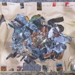 A large collage of animals and a key around the edges describing them