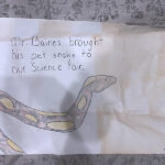 A children's drawing of a snake, as part of the nomination for Tom Baines. Reads: Mr. Baines brought his pet snake to our science fair. Signed by: Carrie Agnew