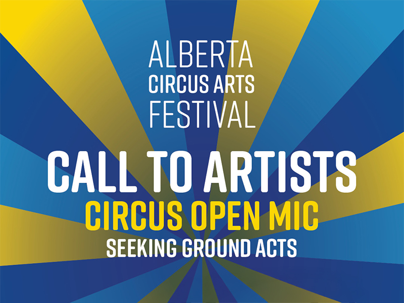 Colourful poster to support the call to artists.