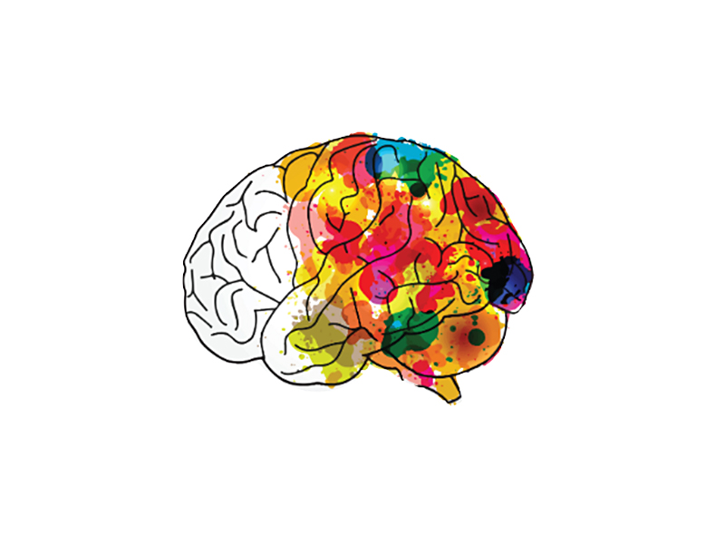 An illustration of a colourful brain, possibly marker or watercolour in nature. Acting as the logo for the Perlin Foundation.