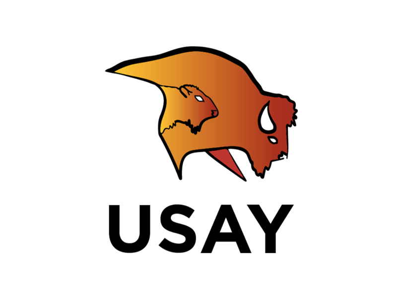 USAY logo