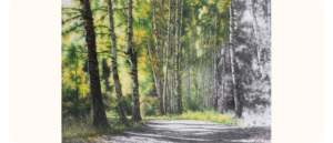 A hyperrealistic drawing of a forest pathway lined with tall birch trees, where the left side of the image is richly coloured in greens and yellows to depict sunlight through the leaves, while the right side transitions into black and white, creating a striking contrast between colour and monochrome.